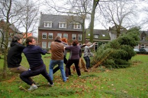 In Oisterwijk waait een kerstboom om; brandweer en inwoners trekken hem samen weer op.