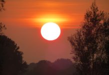 Het Nationaal Hitteplan blijft leuk, en nuttig!