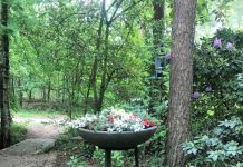 Vier vakantieparken geschikt voor toekomstige vaste bewoning