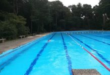 Geef uw mening: een half Staalbergven of een heel Den Donk