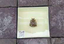 Sta even stil bij Het Gevallen Dölleke