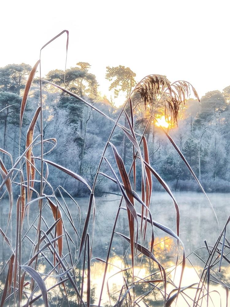 Natureluurs van IVN over het overleven in de winter