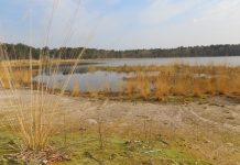 Wandel mee rond het Galgeven tussen Moergestel en Heukelom