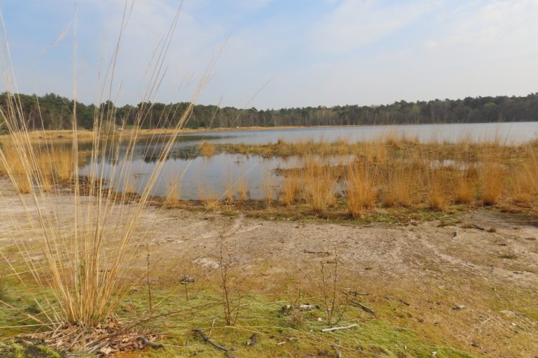 Wandel mee rond het Galgeven tussen Moergestel en Heukelom