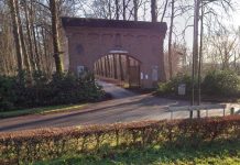 Help mee boompjes redden in Haaren