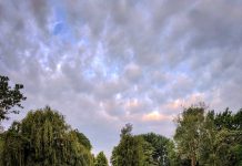 Excursie IVN Oisterwijk over Natuur en Cultuur