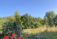 Bezoek Park Ruijbosch in Haaren op Open Monumentendag 2024