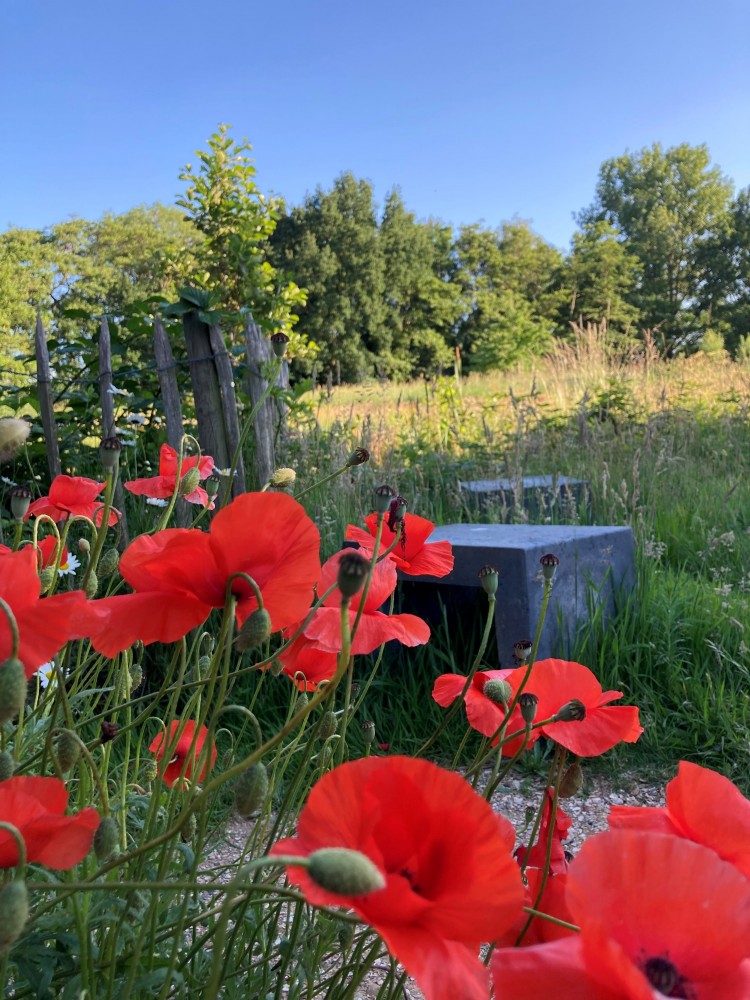 Bezoek Park Ruijbosch in Haaren op Open Monumentendag 2024