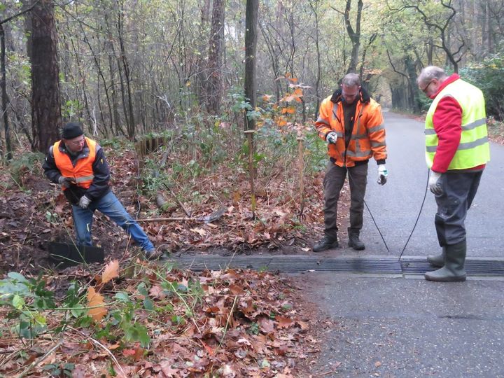 Help mee met het schoonmaken van paddentunnels