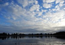 Vogelexcursies Belversven Oisterwijk met IVN Oisterwijk