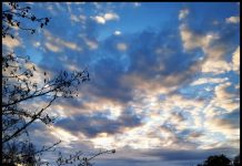 Dieren in het donker met IVN Oisterwijk