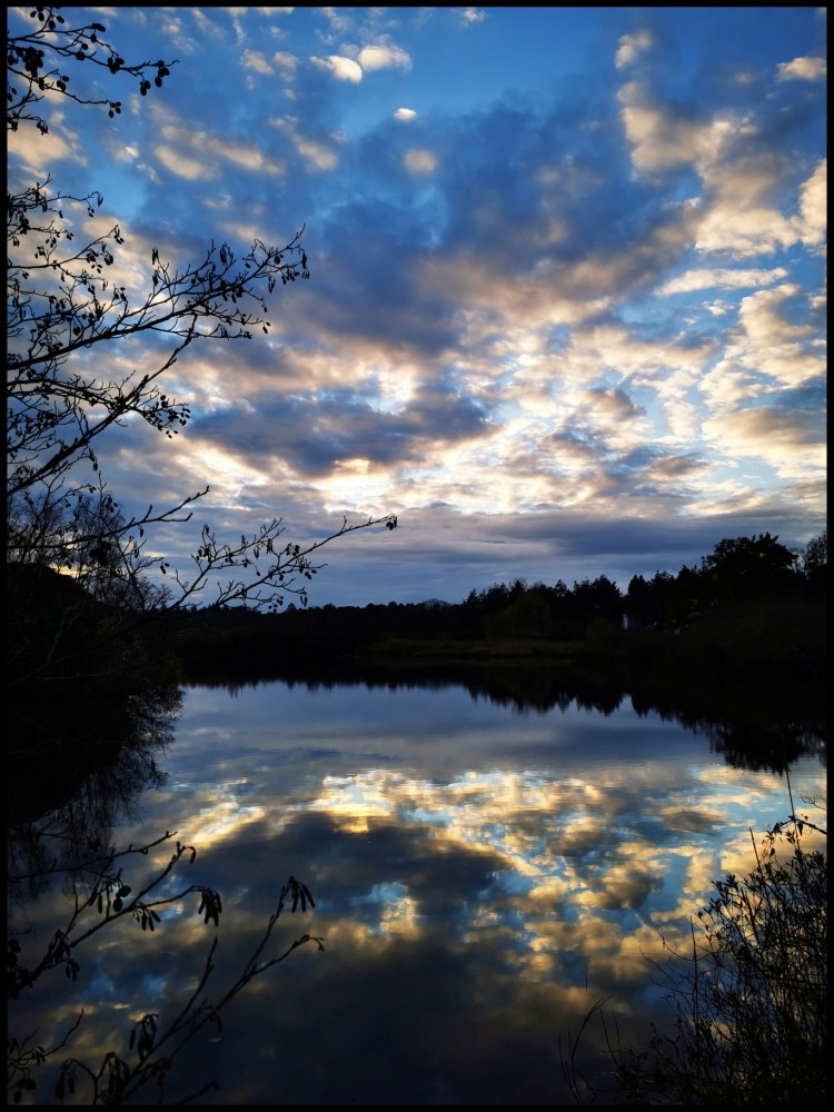 Dieren in het donker met IVN Oisterwijk