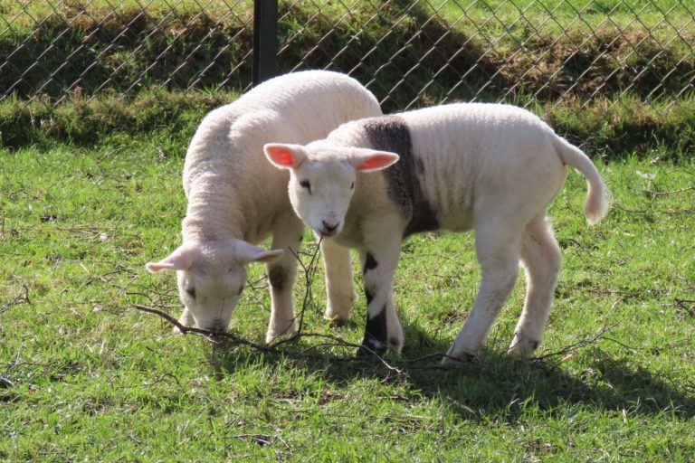 Het is altijd lente in de ogen van …