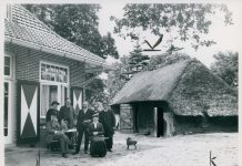 Zomerontmoetingen: Nordic Walking