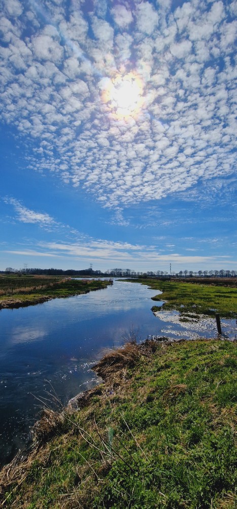 Omdat hij zo mooi is