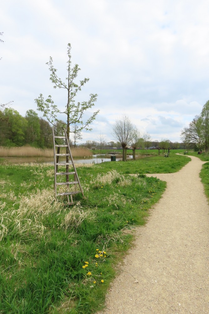 Wandel eens mee door Park Ruijbosch