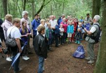 Natuurwandeling met gids van IVN Oisterwijk