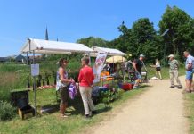 Park Ruijbosch Picknick met een leuk KUBB Festijn