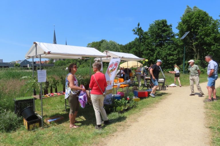 Park Ruijbosch Picknick met een leuk KUBB Festijn