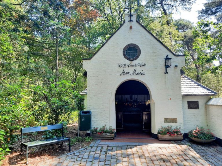 De haan op de toren, maar geen kip meer in de kerk