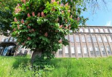 Oisterwijkse KVL herbestemming genomineerd voor de SKG Publieksprijs 2024