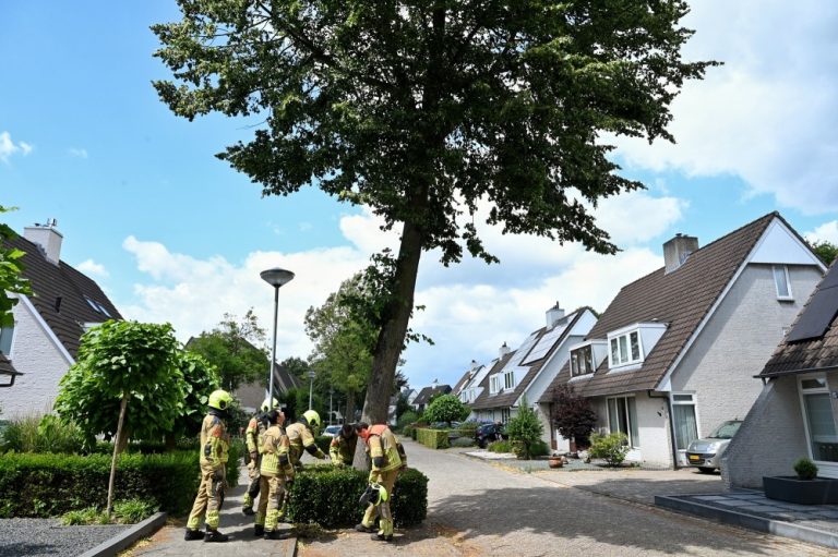 Stormschade in Oisterwijk en Heukelom