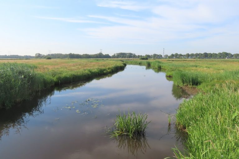 Kom eens wandelen in het Moergestels Broek