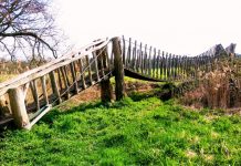 Ontdek de Duurzaamheidsvallei samen met IVN Oisterwijk (geannuleerd)