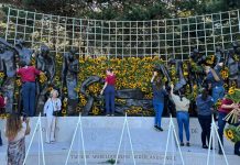 Oisterwijkse scout Danike van der Steen bij Nationale Herdenking