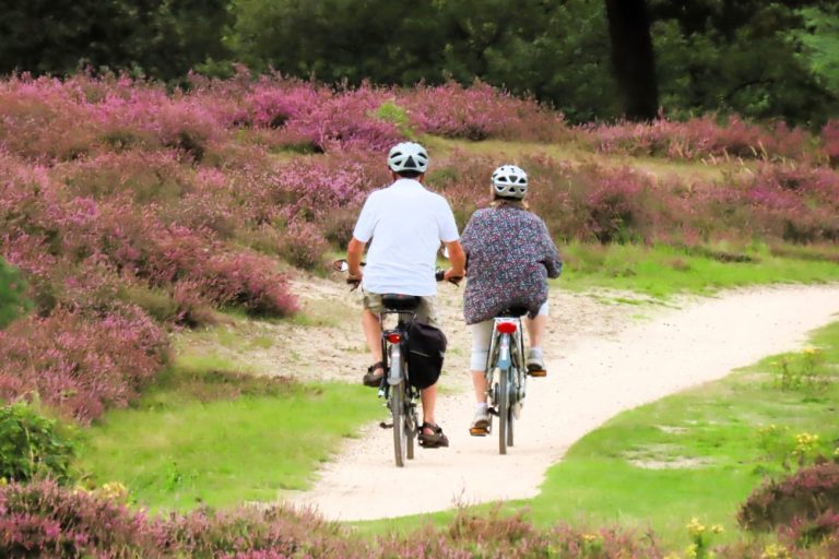 Zomerontmoetingen: Fietsen in bos en veld