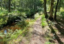 Ontsnap naar rust & historie: De mooiste landgoederen in Oisterwijk en omgeving *