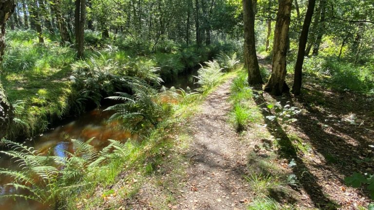 Ontsnap naar rust & historie: De mooiste landgoederen in Oisterwijk en omgeving *