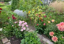 Oisterwijks B-team roept op tot biodiversiteit!