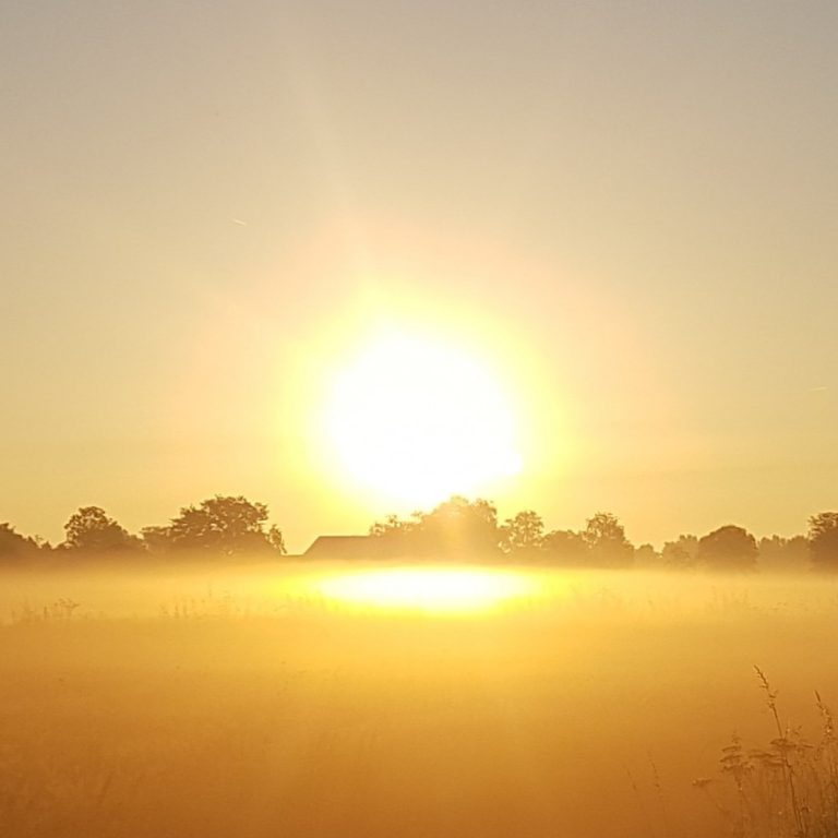Zonwering in 2024: waar duurzaamheid en stijl samenkomen*