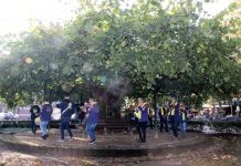 De Bollekes gingen op bokkentocht in Oisterwijk en Haaren (Film)