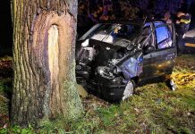 Auto tegen boom op N65 tussen Oisterwijk en Haaren