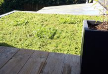 Informatieavond over regentonnen en groene daken in Haaren