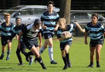 Oysters Cubs winnen van Middelburg