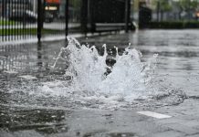 Wateroverlast door veel regen in Oisterwijk