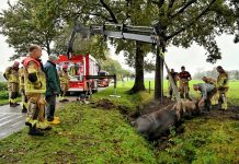 Belgisch trekpaard gevonden in sloot Heukelom