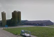 Vergunning voor meer varkens in Moergestel kost Gemeente Oisterwijk nu al duizenden euro's