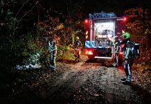 Brand Oisterwijkse bossen vermoedelijk aangestoken