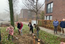 Boomfeestdag in Oisterwijk