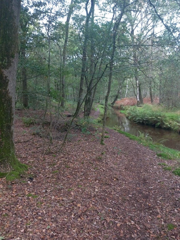 Taverne de Posthoorn organiseert wandeling voor kinderen met de boswachter *