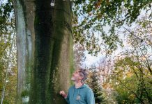 Partij PRO: De ene boom is de andere niet