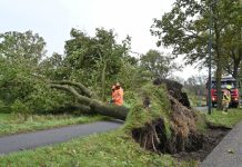 Flinke lijst stormschade in Haaren Heukelom Moergestel en Oisterwijk