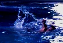 Beeldbank Oisterwijk: OZC Zwemmarathon – Staalbergven 1996