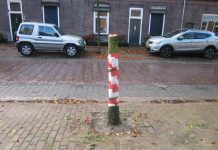 Vandalen zagen boom om in Moergestel