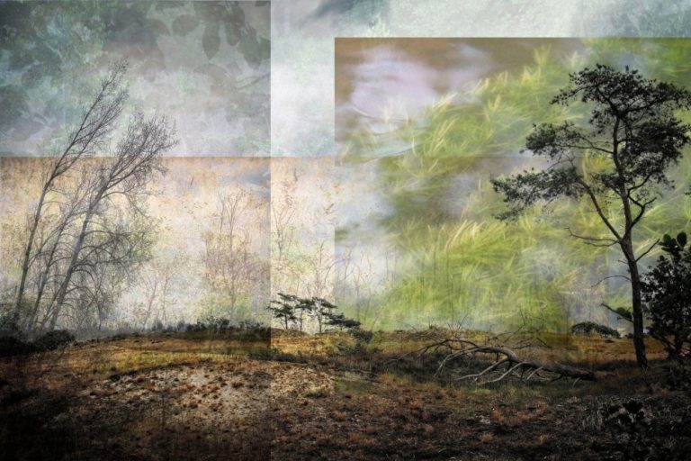 Feestelijke expositie Fotogroep Fomo 2024