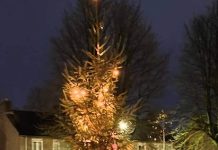 Waterhoef heeft een mooie wens Kerstboom